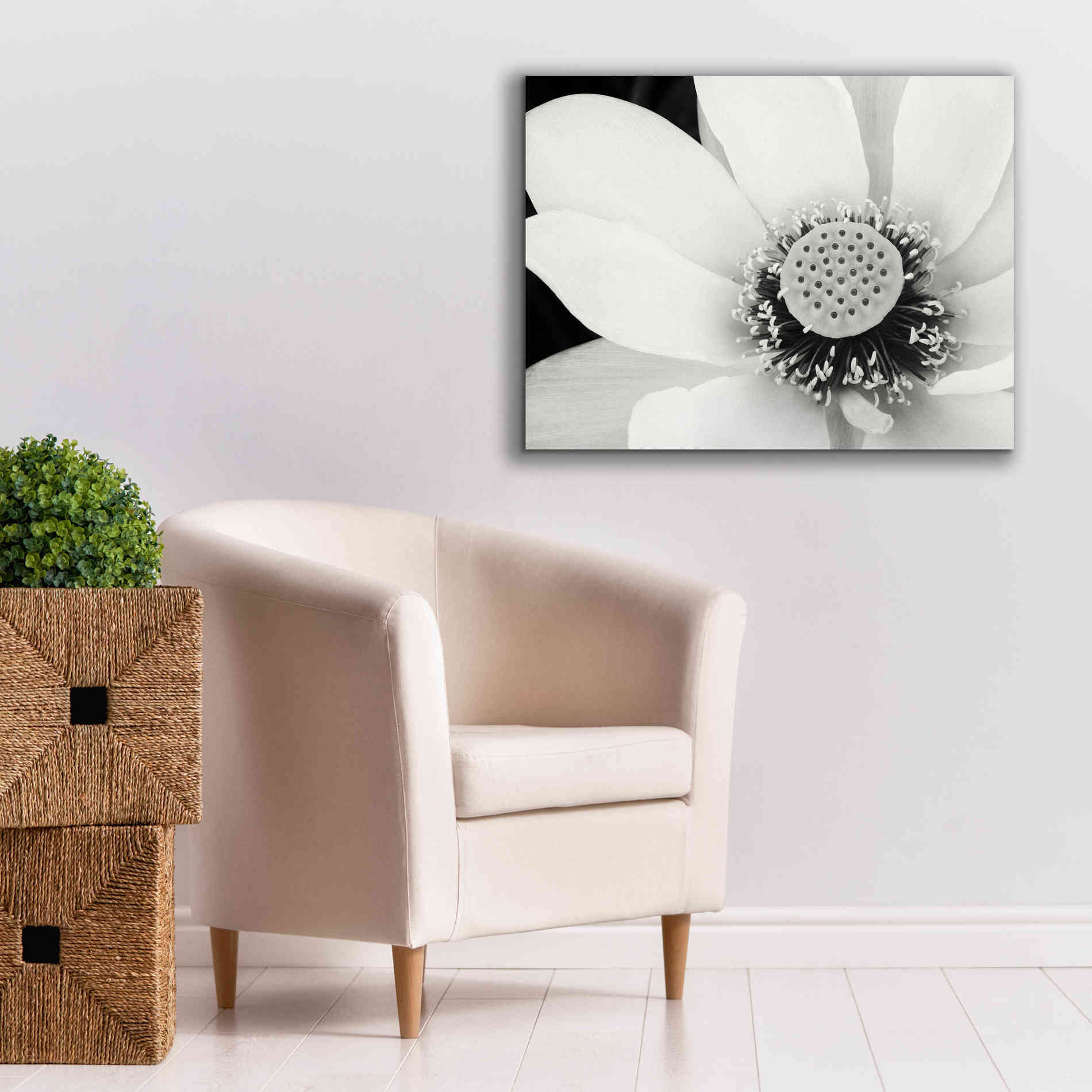 'Lotus Flower IV' by Debra Van Swearingen, Canvas Wall Art,34 x 26