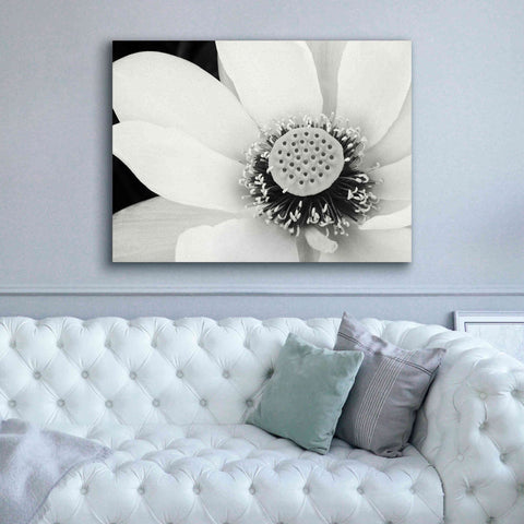 Image of 'Lotus Flower IV' by Debra Van Swearingen, Canvas Wall Art,54 x 40