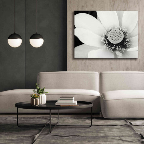 Image of 'Lotus Flower IV' by Debra Van Swearingen, Canvas Wall Art,54 x 40