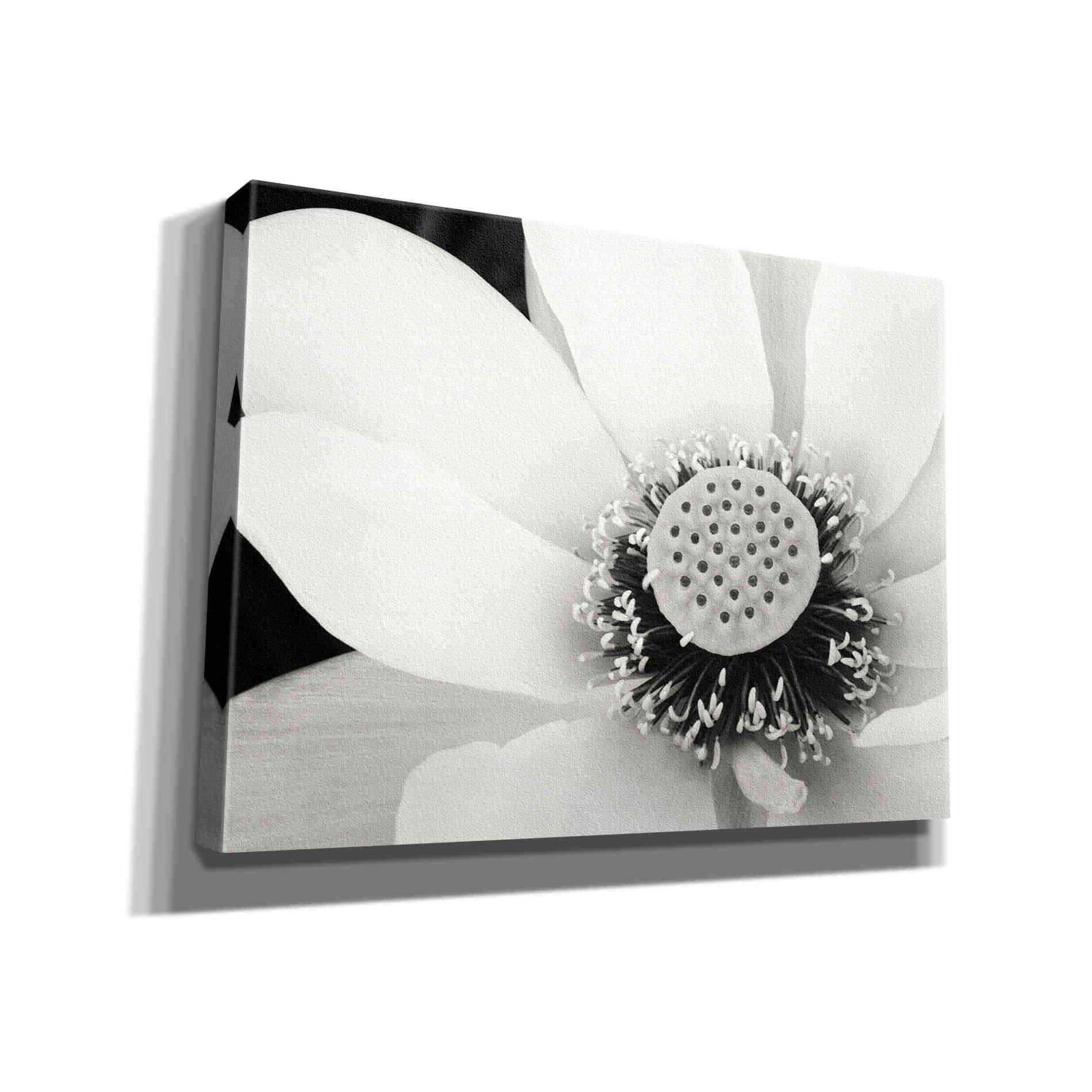 'Lotus Flower IV' by Debra Van Swearingen, Canvas Wall Art,16x12x1.1x0,26x18x1.1x0,34x26x1.74x0,54x40x1.74x0