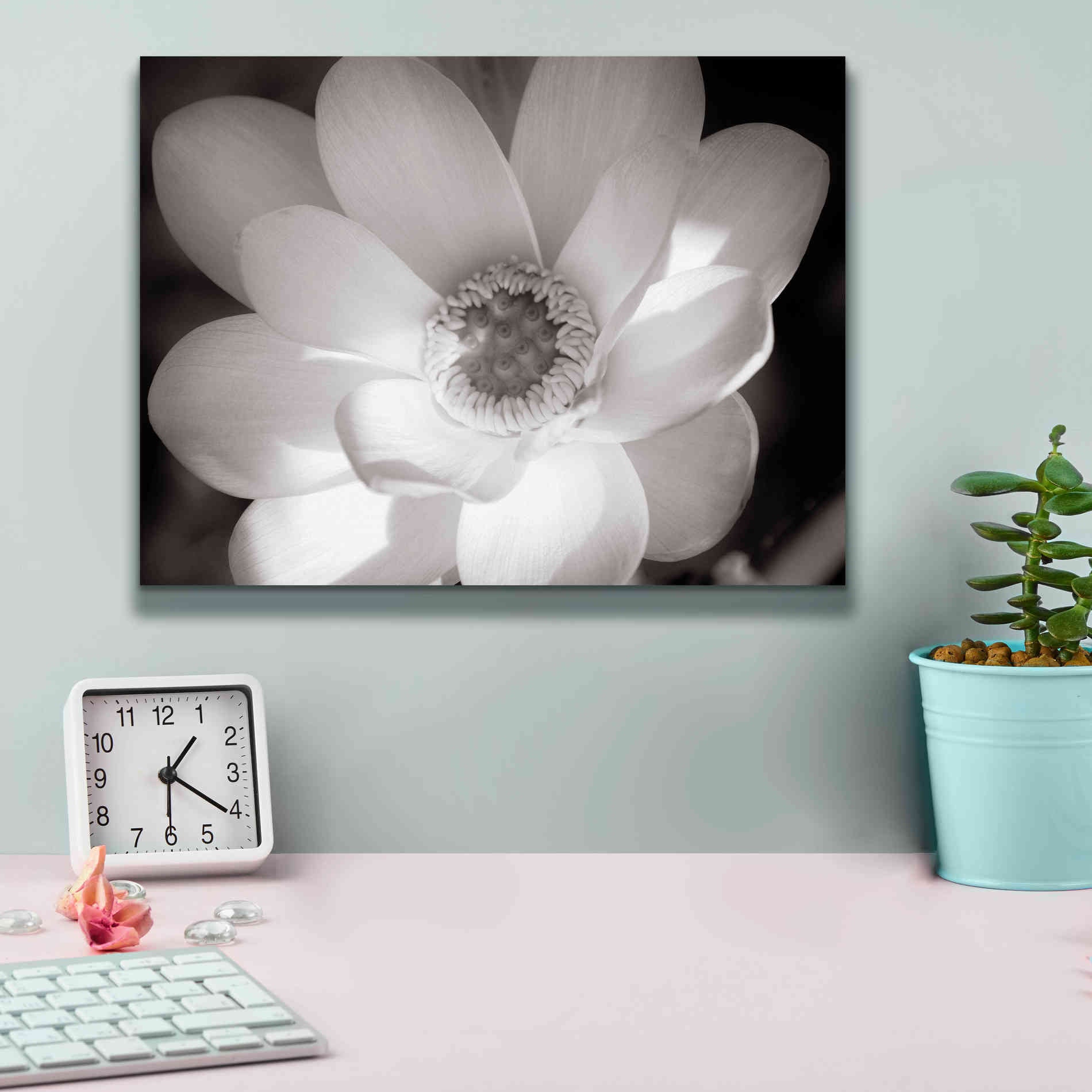 'Lotus Flower V' by Debra Van Swearingen, Canvas Wall Art,16 x 12