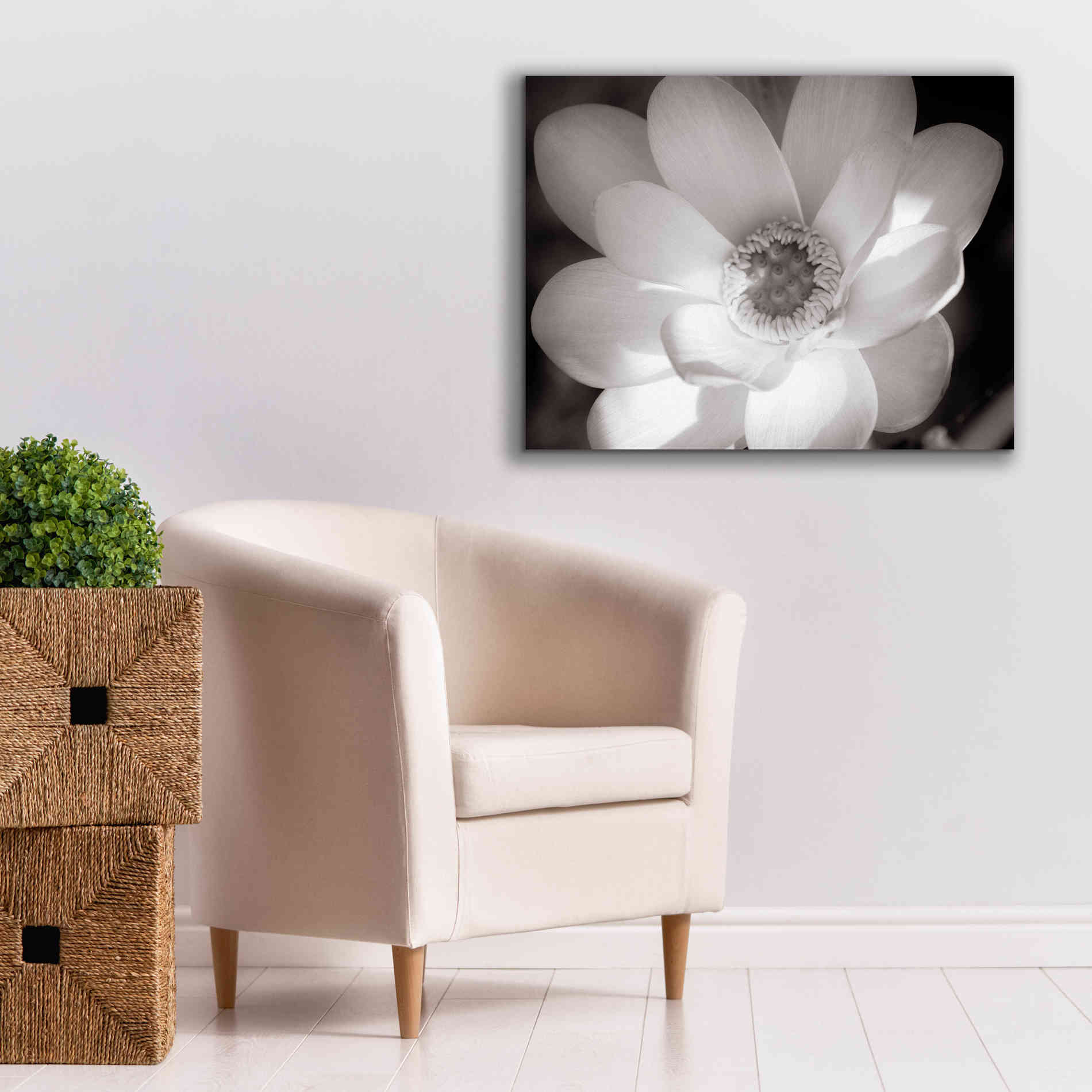 'Lotus Flower V' by Debra Van Swearingen, Canvas Wall Art,34 x 26