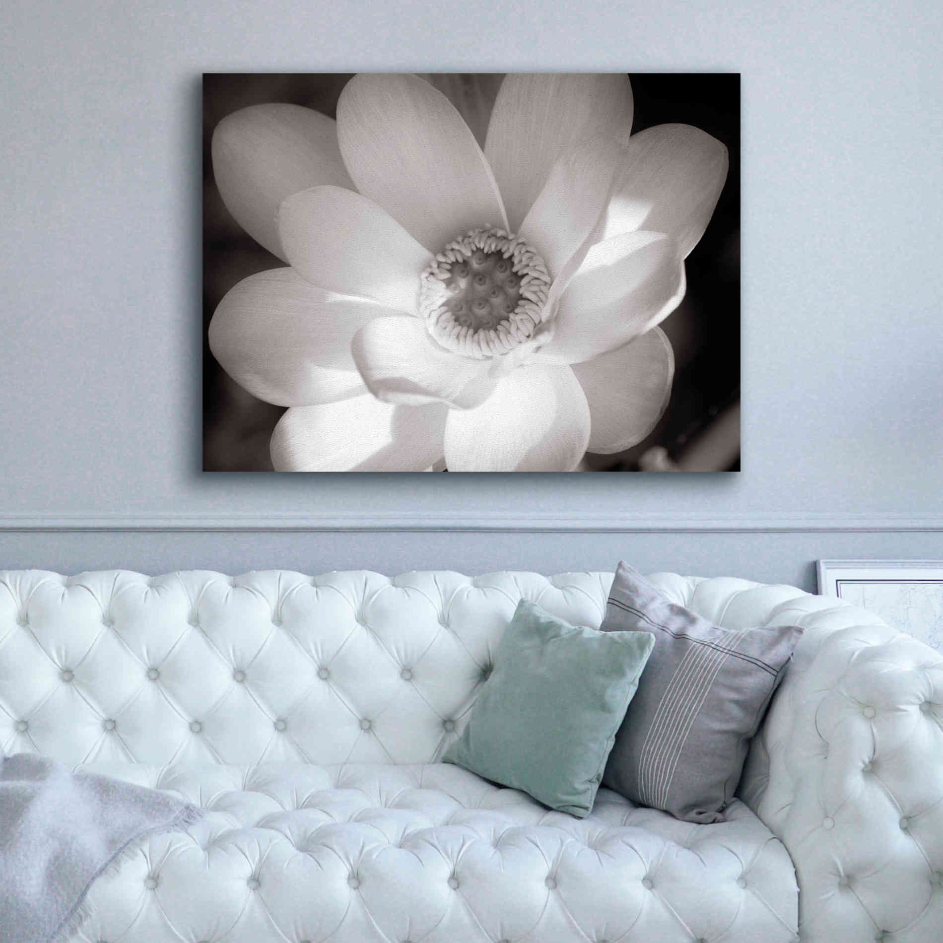 'Lotus Flower V' by Debra Van Swearingen, Canvas Wall Art,54 x 40