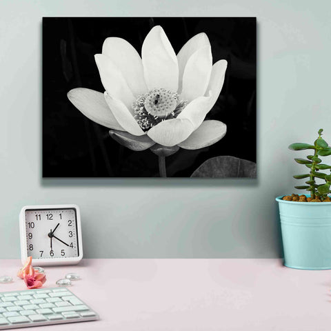Image of 'Lotus Flower I v2' by Debra Van Swearingen, Canvas Wall Art,16 x 12
