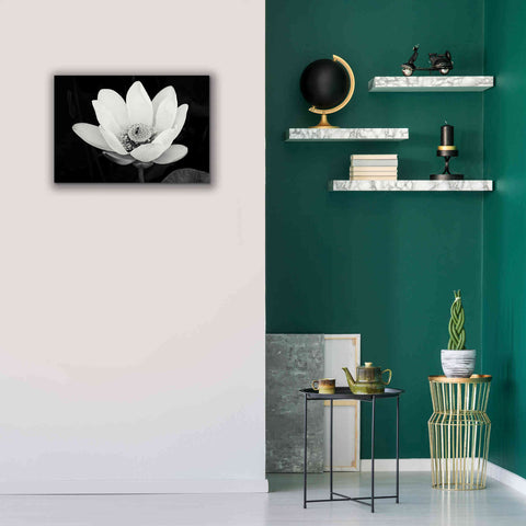 Image of 'Lotus Flower I v2' by Debra Van Swearingen, Canvas Wall Art,26 x 18