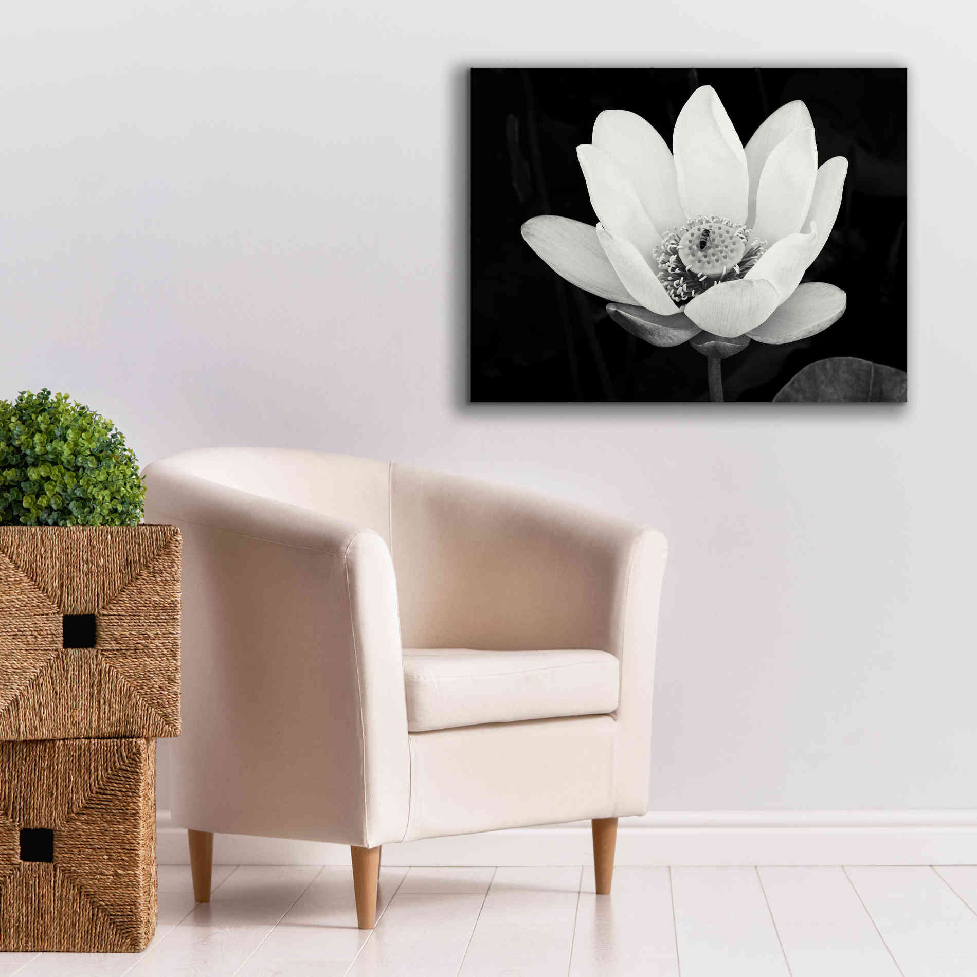 'Lotus Flower I v2' by Debra Van Swearingen, Canvas Wall Art,34 x 26