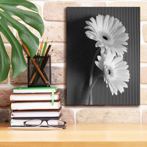 Image of 'Fresh Cut Daisy I' by Debra Van Swearingen, Canvas Wall Art,12 x 16