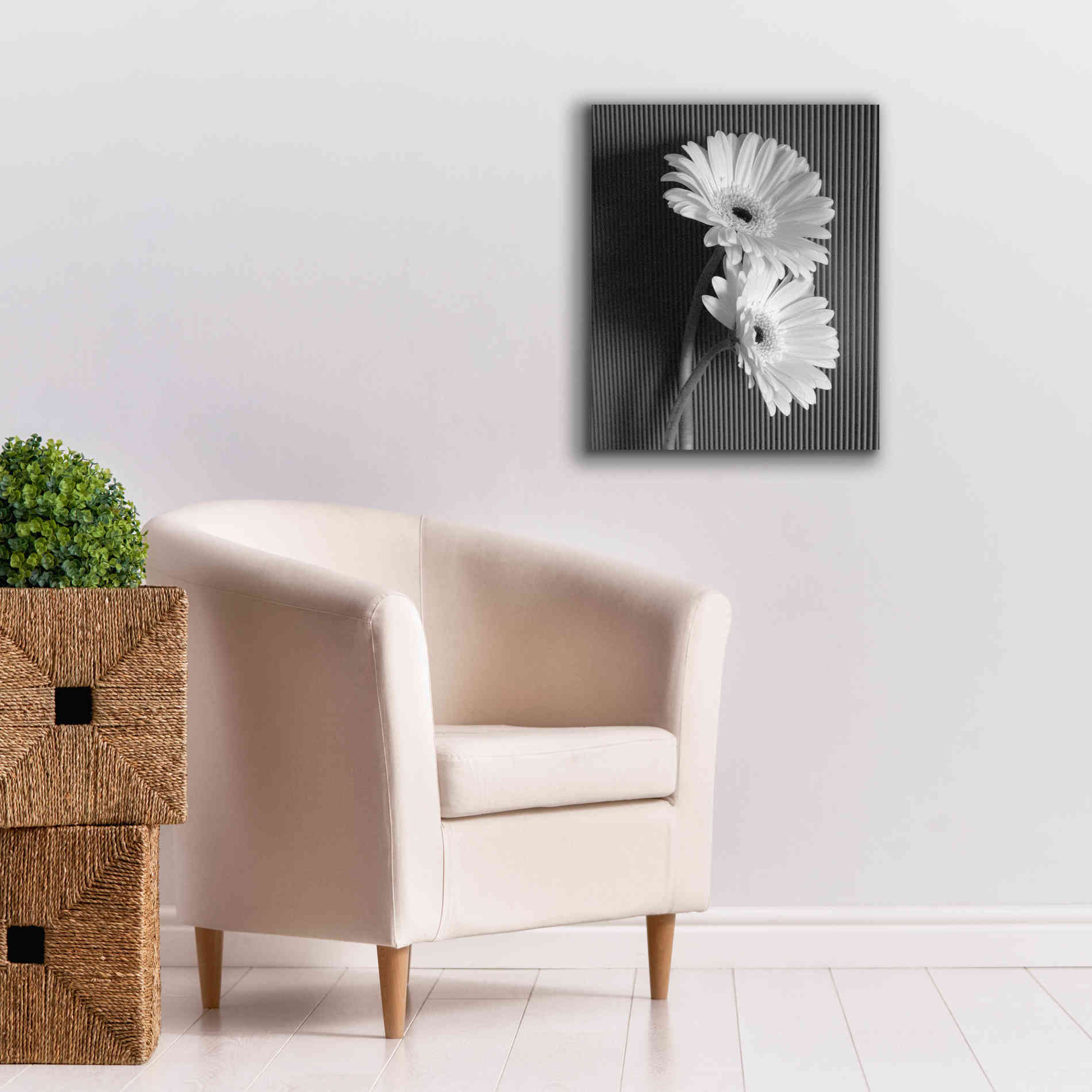 'Fresh Cut Daisy I' by Debra Van Swearingen, Canvas Wall Art,20 x 24