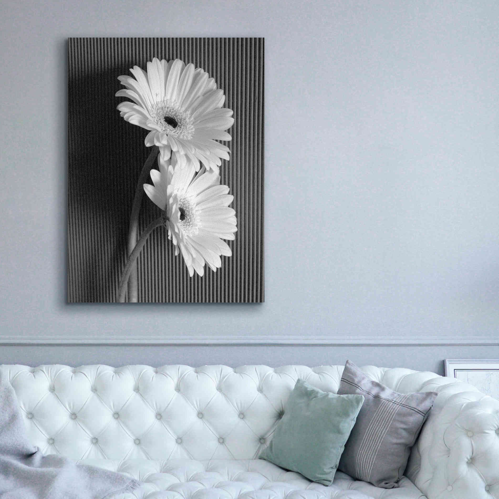 'Fresh Cut Daisy I' by Debra Van Swearingen, Canvas Wall Art,40 x 54