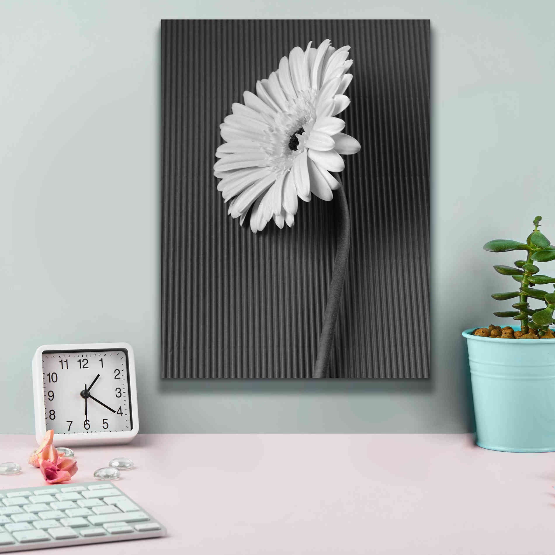 'Fresh Cut Daisy II' by Debra Van Swearingen, Canvas Wall Art,12 x 16