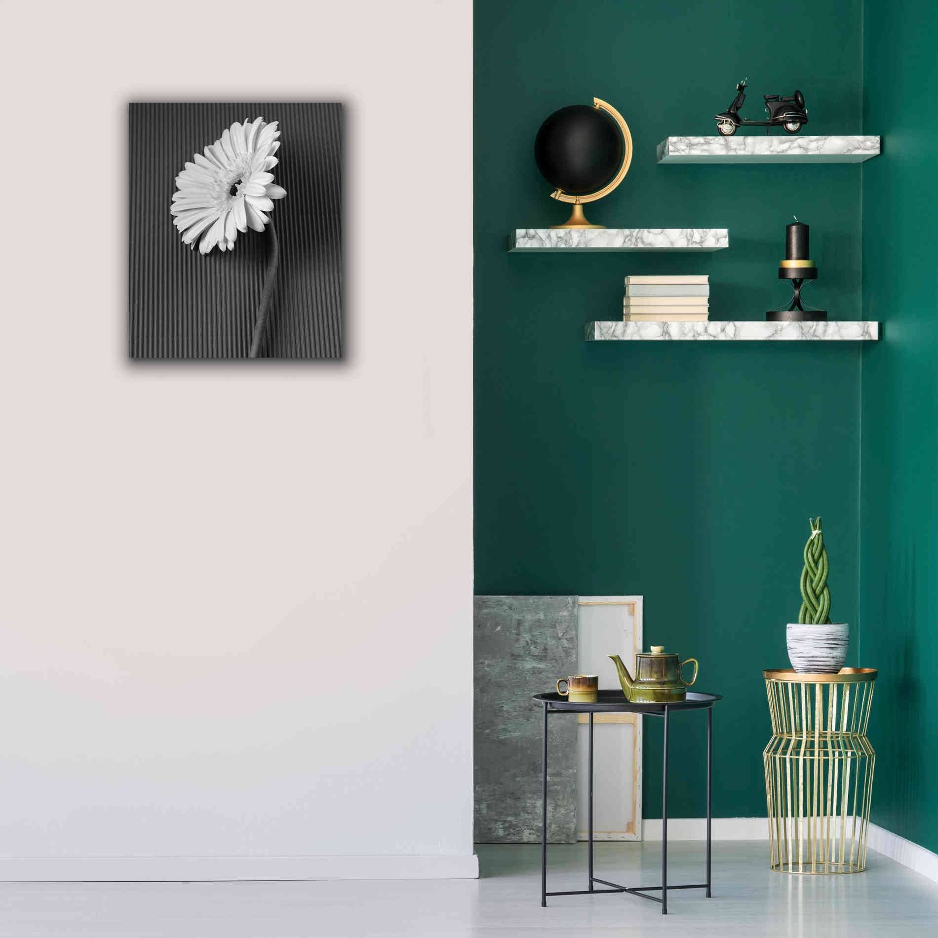 'Fresh Cut Daisy II' by Debra Van Swearingen, Canvas Wall Art,20 x 24