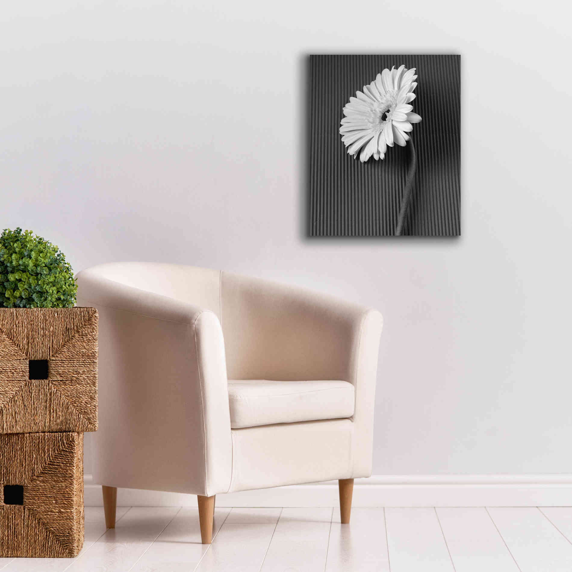 'Fresh Cut Daisy II' by Debra Van Swearingen, Canvas Wall Art,20 x 24