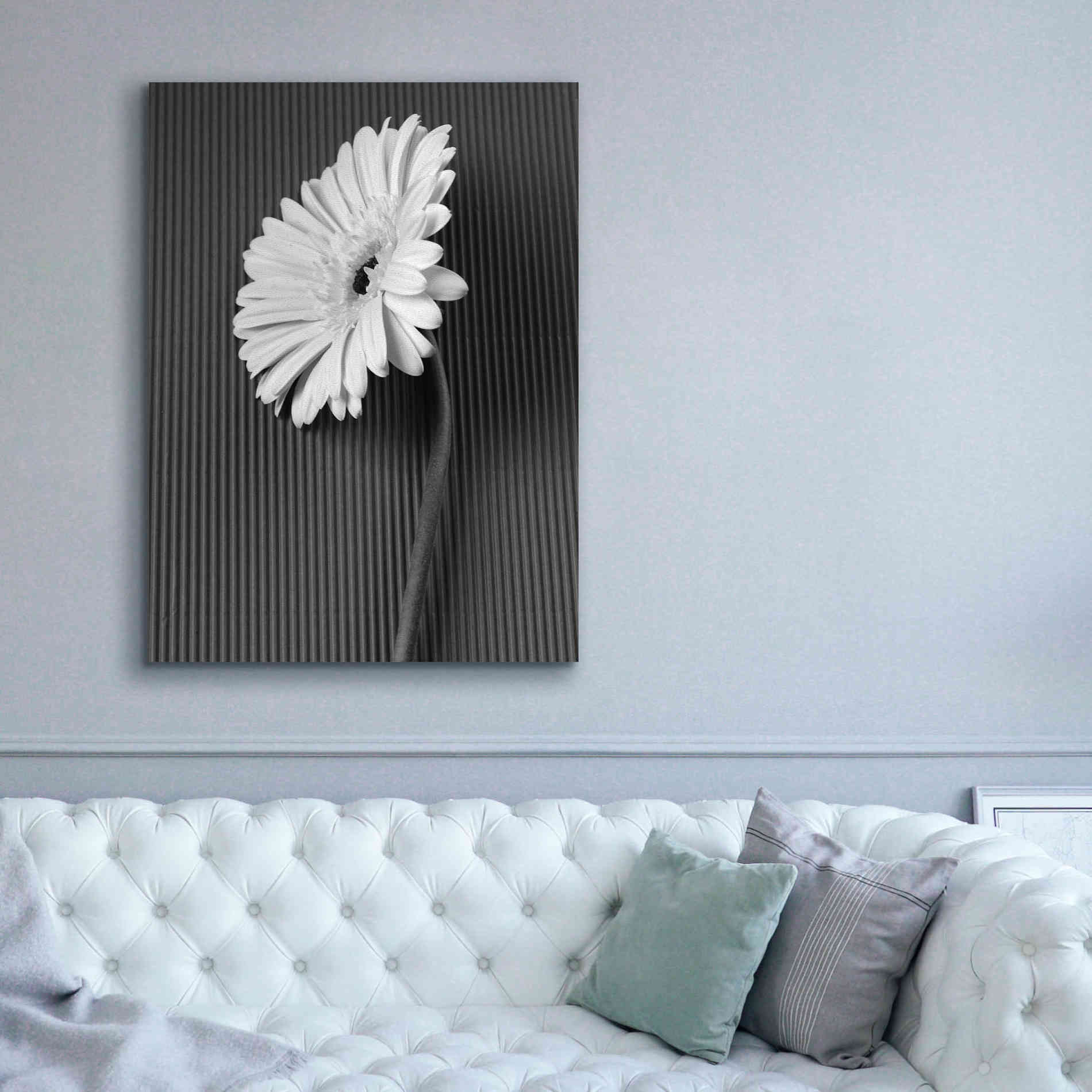 'Fresh Cut Daisy II' by Debra Van Swearingen, Canvas Wall Art,40 x 54