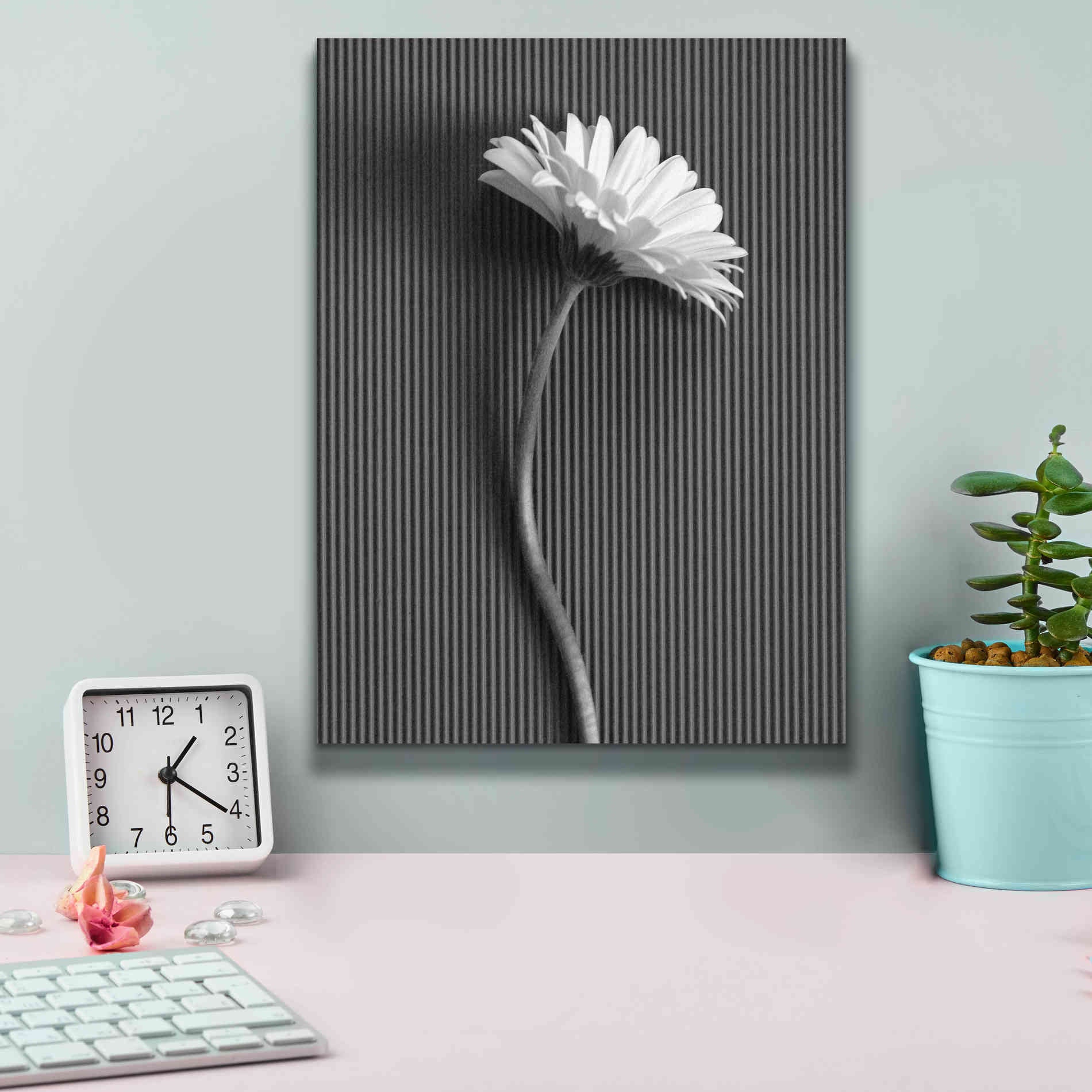 'Fresh Cut Daisy III' by Debra Van Swearingen, Canvas Wall Art,12 x 16