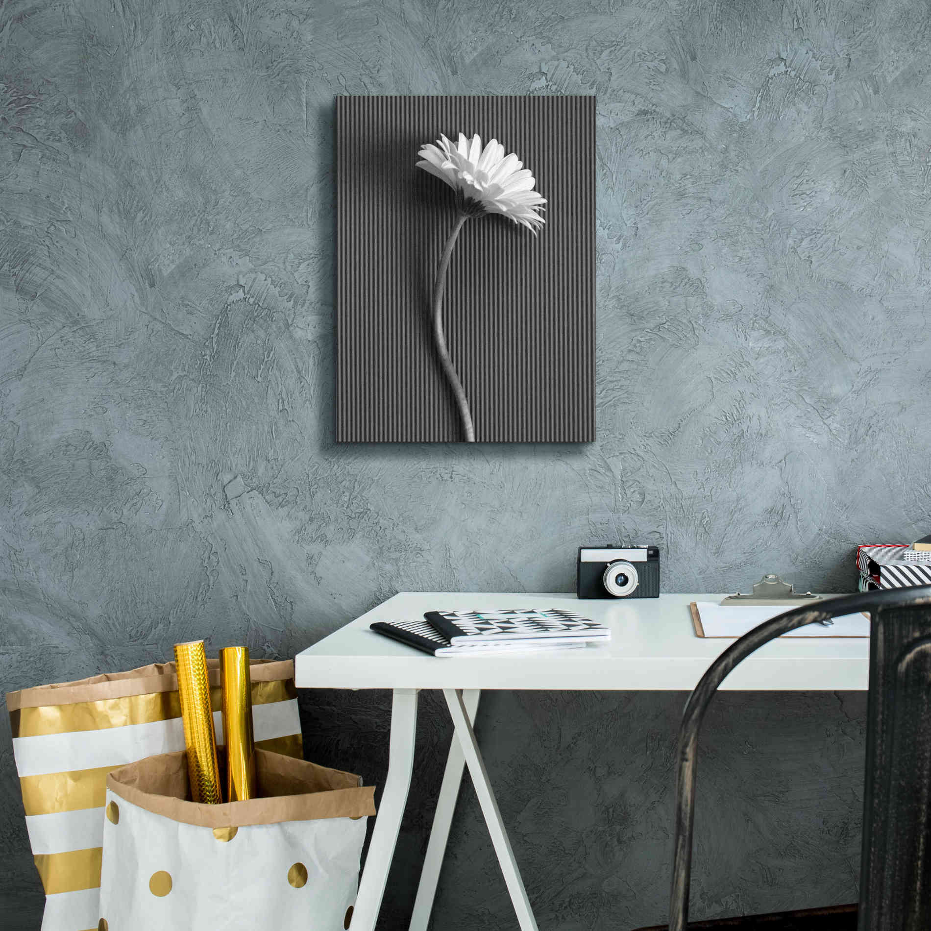 'Fresh Cut Daisy III' by Debra Van Swearingen, Canvas Wall Art,12 x 16