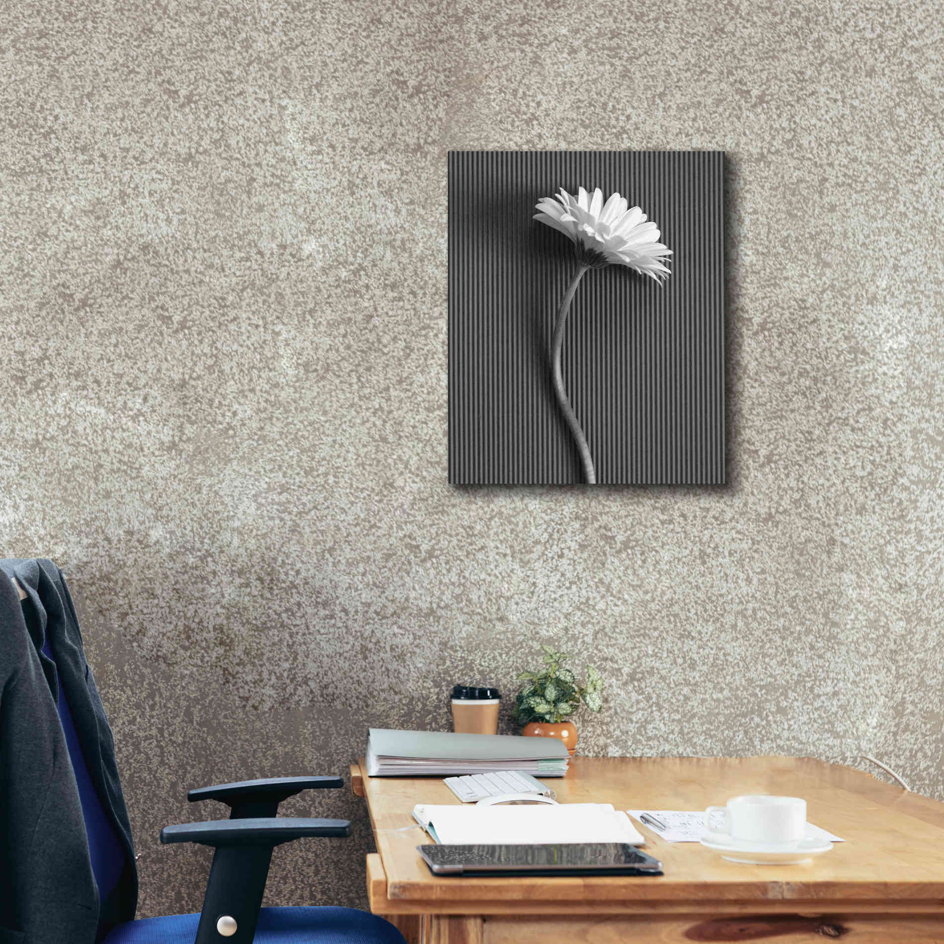 'Fresh Cut Daisy III' by Debra Van Swearingen, Canvas Wall Art,20 x 24