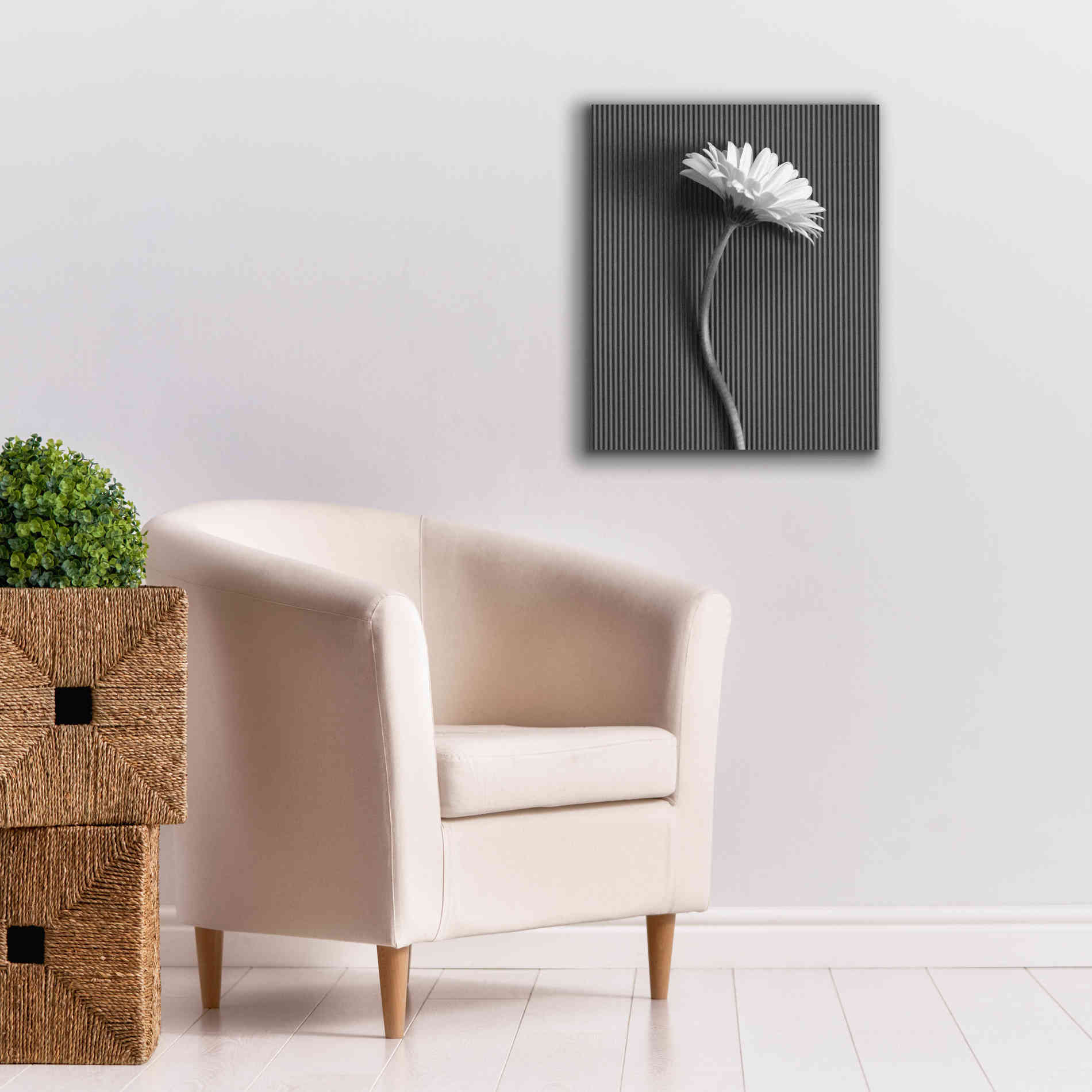 'Fresh Cut Daisy III' by Debra Van Swearingen, Canvas Wall Art,20 x 24