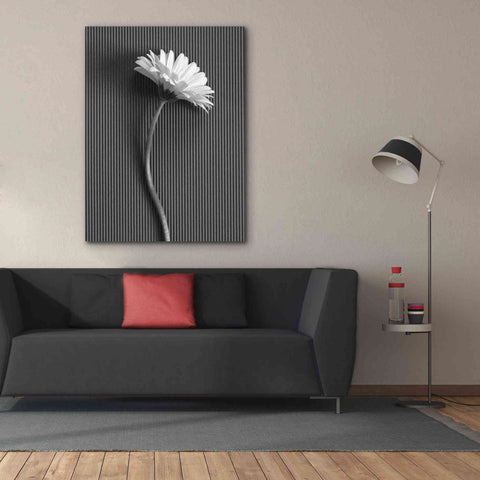Image of 'Fresh Cut Daisy III' by Debra Van Swearingen, Canvas Wall Art,40 x 54