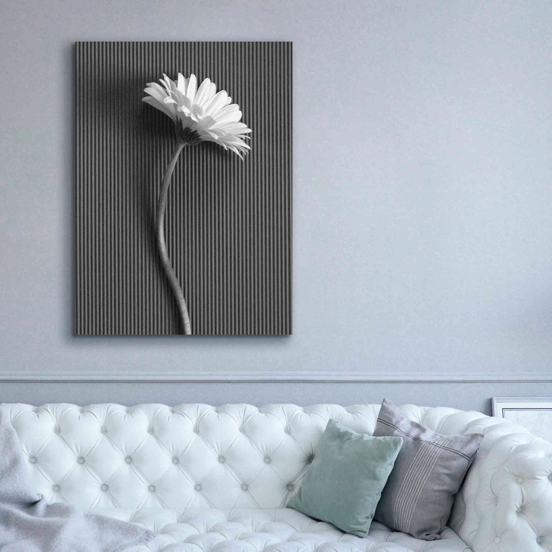 'Fresh Cut Daisy III' by Debra Van Swearingen, Canvas Wall Art,40 x 54