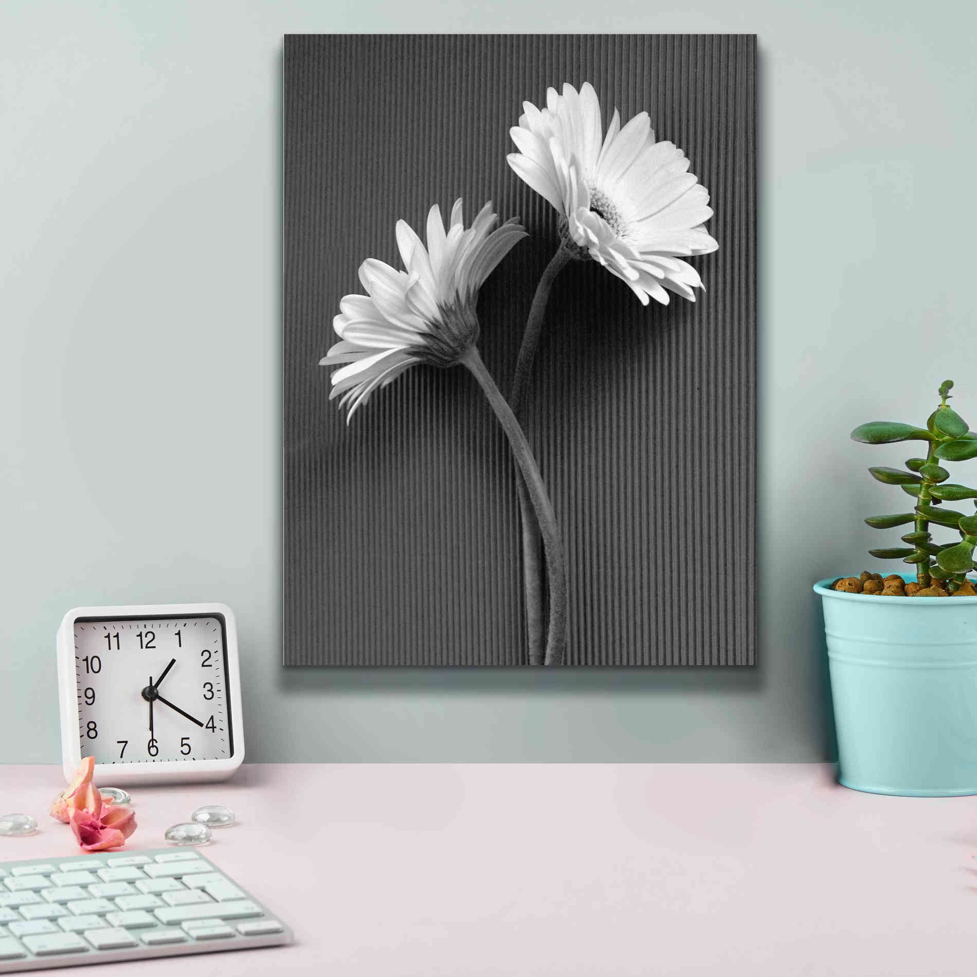 'Fresh Cut Daisy IV' by Debra Van Swearingen, Canvas Wall Art,12 x 16