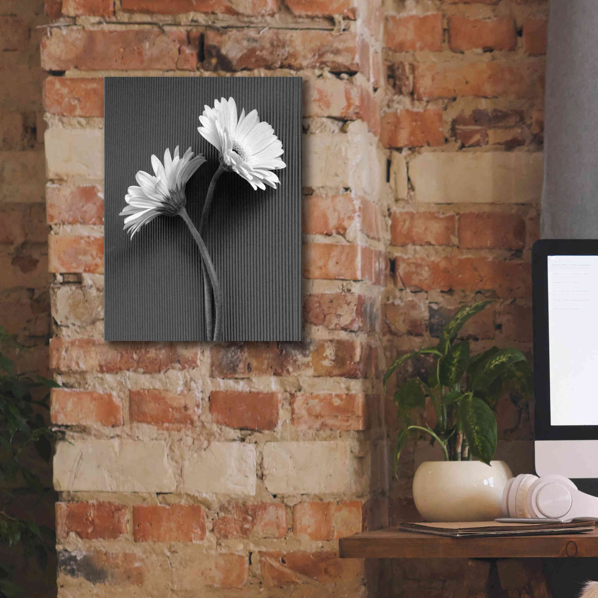 'Fresh Cut Daisy IV' by Debra Van Swearingen, Canvas Wall Art,12 x 16