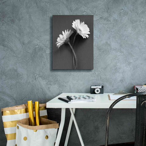 Image of 'Fresh Cut Daisy IV' by Debra Van Swearingen, Canvas Wall Art,12 x 16