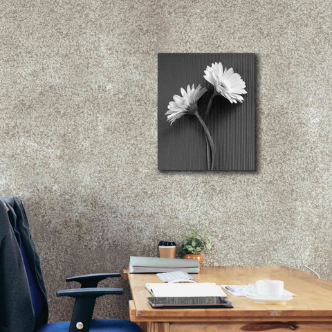 Image of 'Fresh Cut Daisy IV' by Debra Van Swearingen, Canvas Wall Art,20 x 24