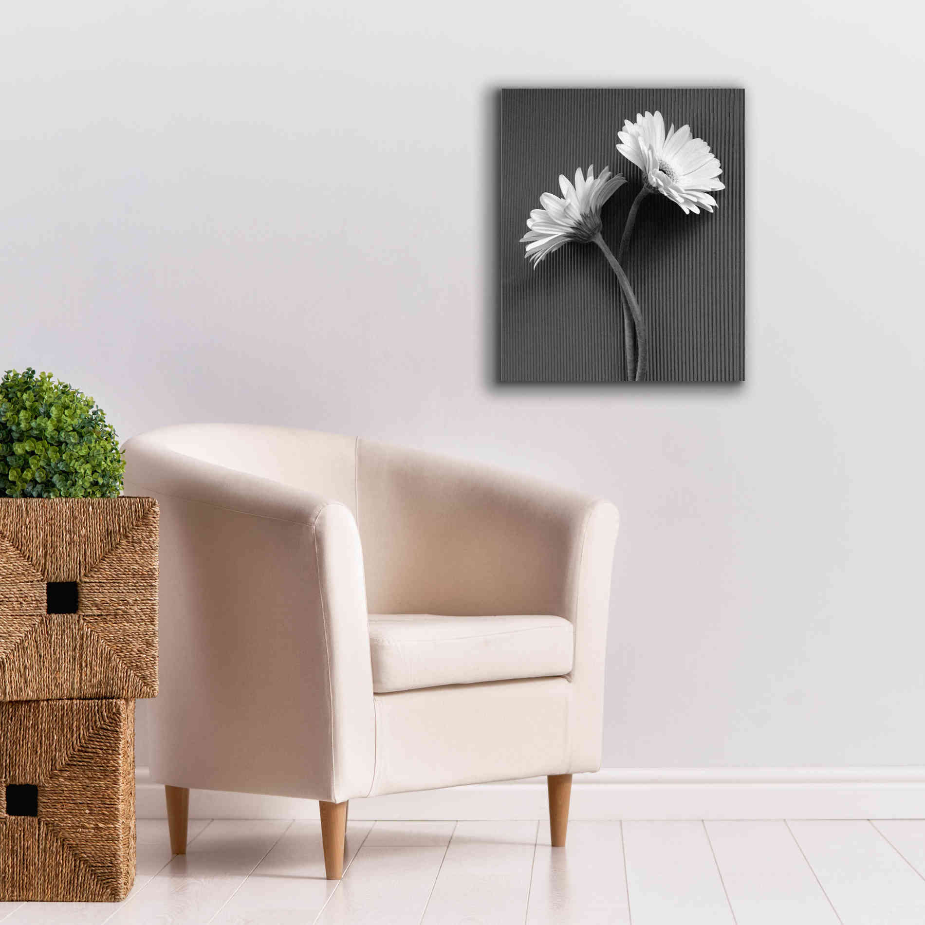 'Fresh Cut Daisy IV' by Debra Van Swearingen, Canvas Wall Art,20 x 24