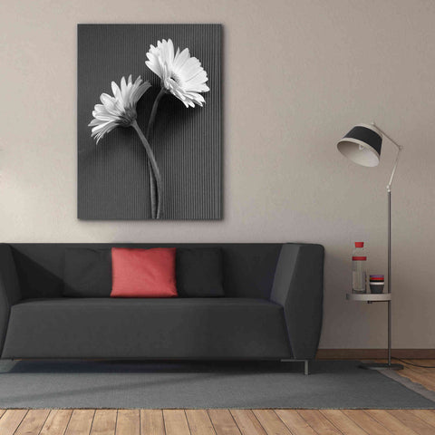 Image of 'Fresh Cut Daisy IV' by Debra Van Swearingen, Canvas Wall Art,40 x 54