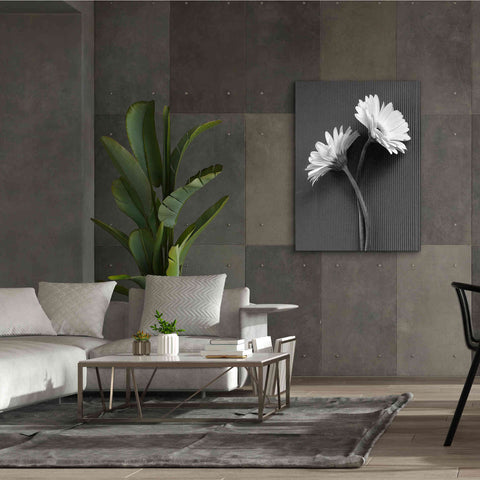 Image of 'Fresh Cut Daisy IV' by Debra Van Swearingen, Canvas Wall Art,40 x 54