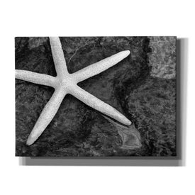 'Explore' by Debra Van Swearingen, Canvas Wall Art,16x12x1.1x0,26x18x1.1x0,34x26x1.74x0,54x40x1.74x0