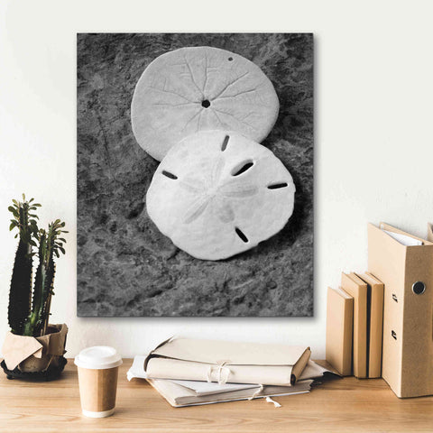 Image of 'Dream' by Debra Van Swearingen, Canvas Wall Art,20 x 24