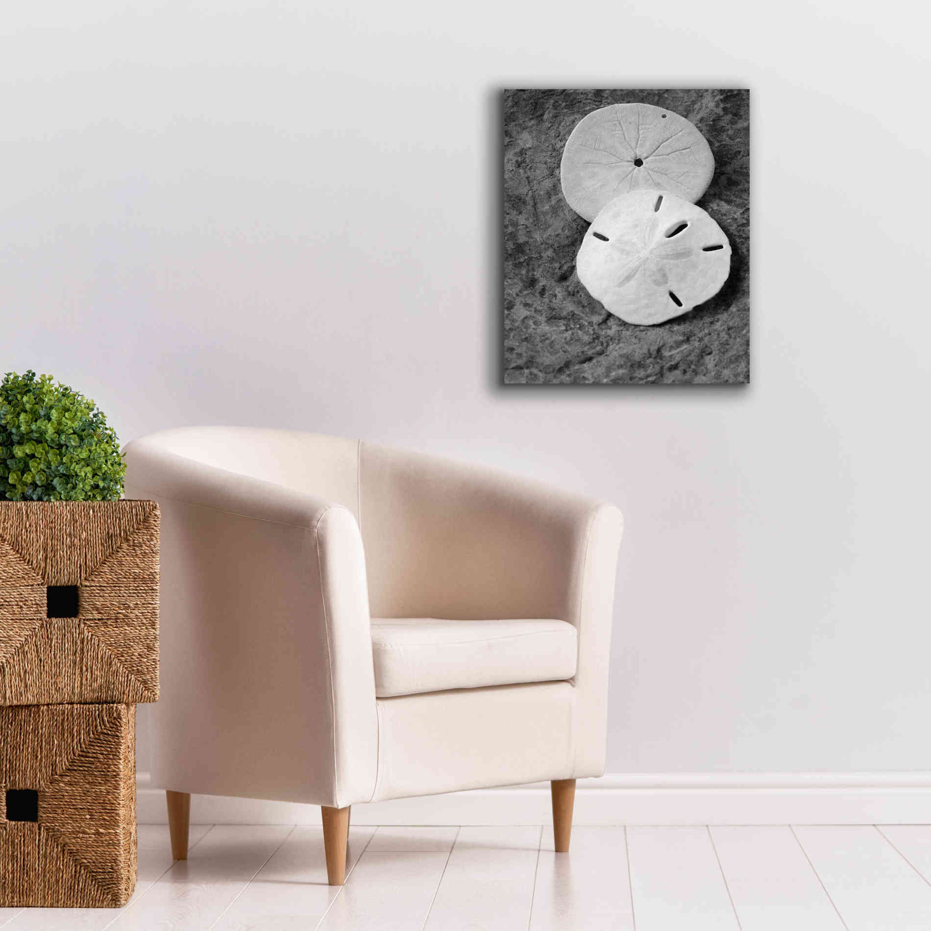 'Dream' by Debra Van Swearingen, Canvas Wall Art,20 x 24