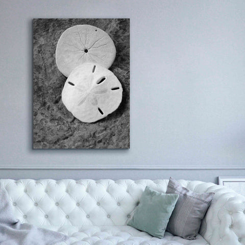 Image of 'Dream' by Debra Van Swearingen, Canvas Wall Art,40 x 54