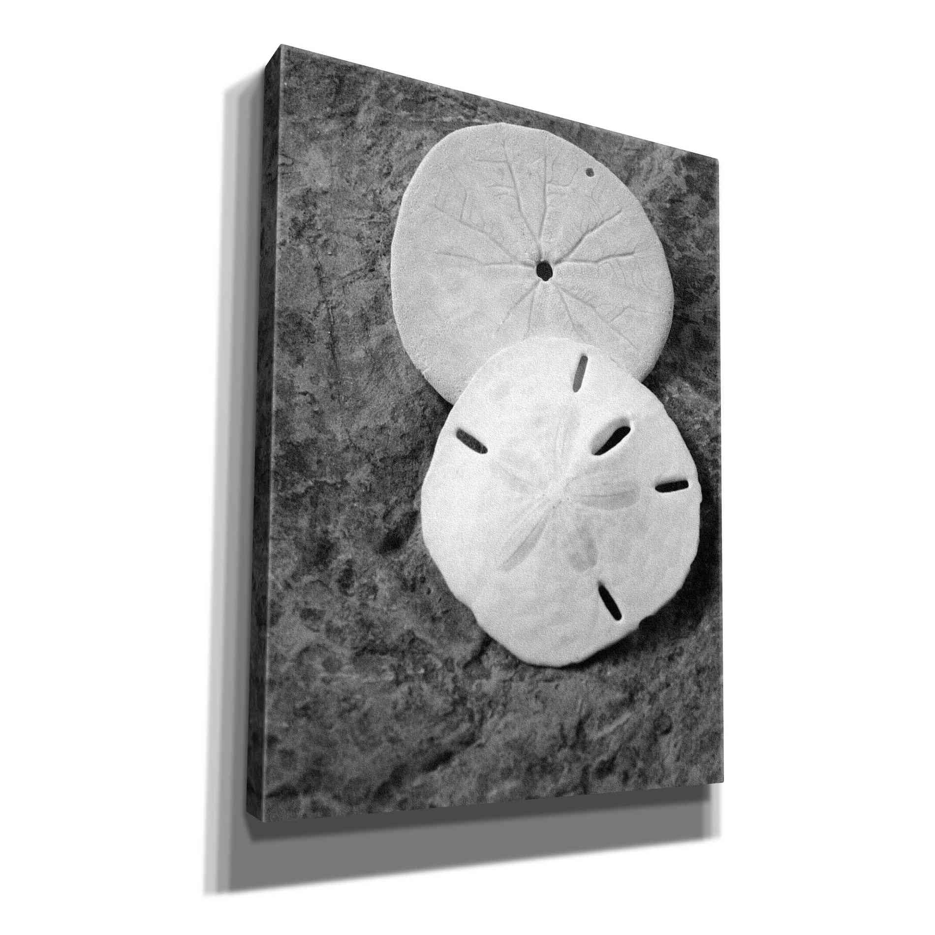 'Dream' by Debra Van Swearingen, Canvas Wall Art,12x16x1.1x0,20x24x1.1x0,26x30x1.74x0,40x54x1.74x0