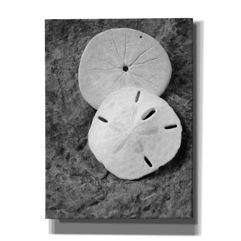 Image of 'Dream' by Debra Van Swearingen, Canvas Wall Art,12x16x1.1x0,20x24x1.1x0,26x30x1.74x0,40x54x1.74x0