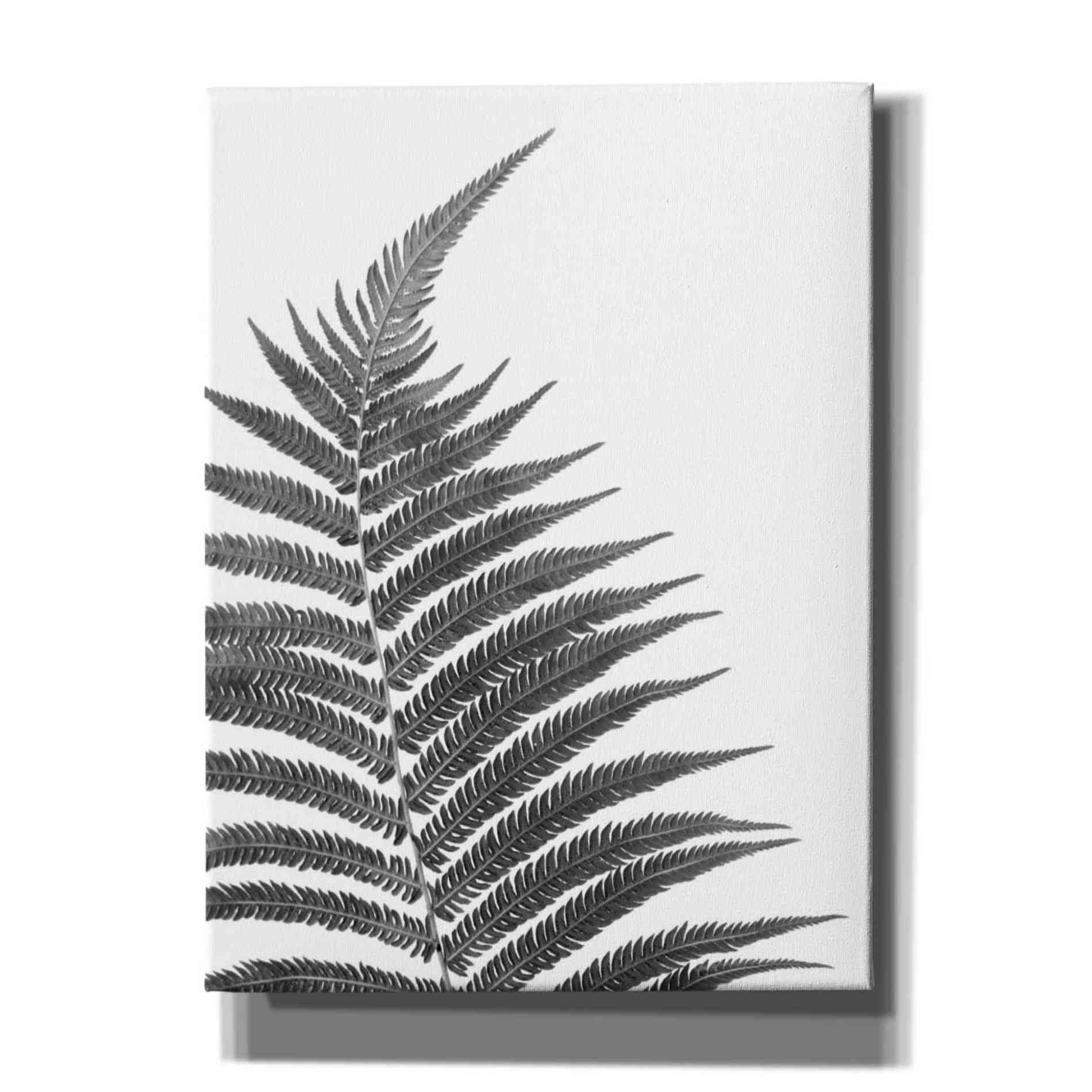 'Truth' by Debra Van Swearingen, Canvas Wall Art,12x16x1.1x0,20x24x1.1x0,26x30x1.74x0,40x54x1.74x0