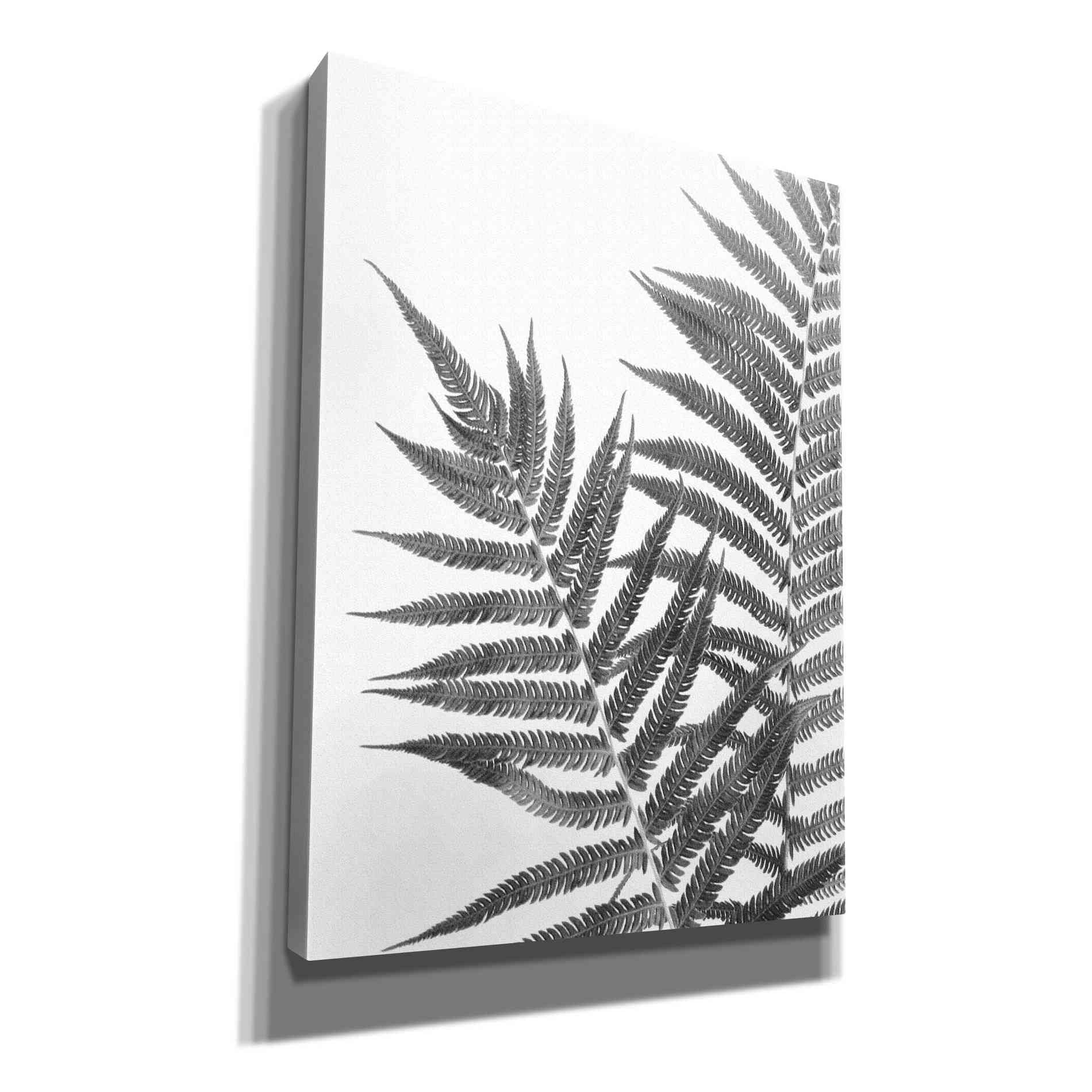 'Aspire' by Debra Van Swearingen, Canvas Wall Art,12x16x1.1x0,20x24x1.1x0,26x30x1.74x0,40x54x1.74x0