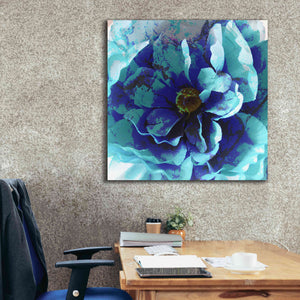 'Blue Flower' by Shandra Smith, Canvas Wall Art,37 x 37