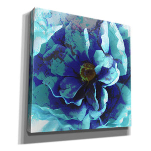 'Blue Flower' by Shandra Smith, Canvas Wall Art,12x12x1.1x0,18x18x1.1x0,26x26x1.74x0,37x37x1.74x0