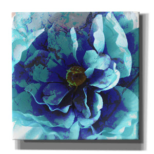 'Blue Flower' by Shandra Smith, Canvas Wall Art,12x12x1.1x0,18x18x1.1x0,26x26x1.74x0,37x37x1.74x0