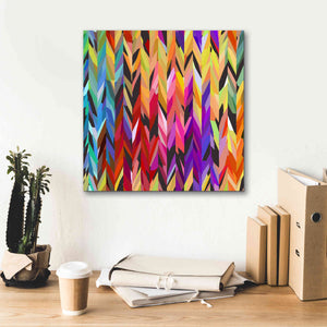 'Burst of Color' by Shandra Smith, Canvas Wall Art,18 x 18