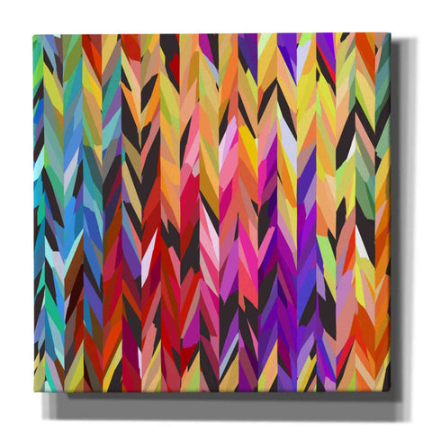 Image of 'Burst of Color' by Shandra Smith, Canvas Wall Art,12x12x1.1x0,18x18x1.1x0,26x26x1.74x0,37x37x1.74x0