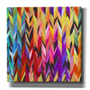 'Burst of Color' by Shandra Smith, Canvas Wall Art,12x12x1.1x0,18x18x1.1x0,26x26x1.74x0,37x37x1.74x0