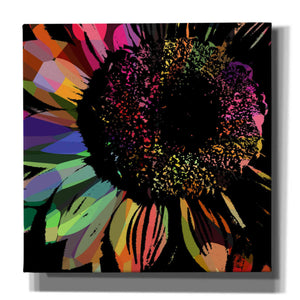 'Flower 30' by Shandra Smith, Canvas Wall Art,12x12x1.1x0,18x18x1.1x0,26x26x1.74x0,37x37x1.74x0