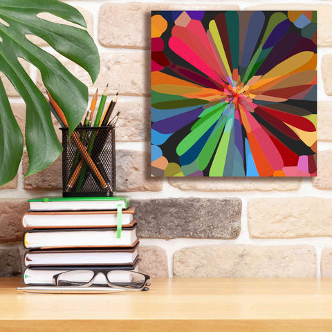 Image of 'Flower 12' by Shandra Smith, Canvas Wall Art,12 x 12