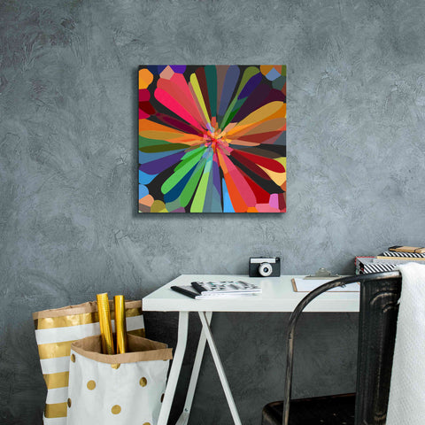 Image of 'Flower 12' by Shandra Smith, Canvas Wall Art,18 x 18