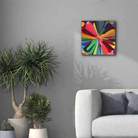 Image of 'Flower 12' by Shandra Smith, Canvas Wall Art,18 x 18