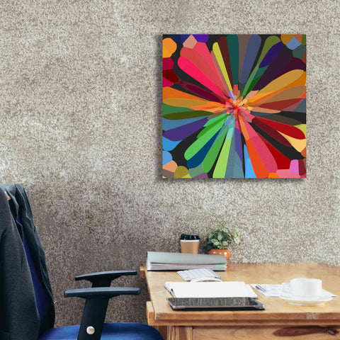 Image of 'Flower 12' by Shandra Smith, Canvas Wall Art,26 x 26