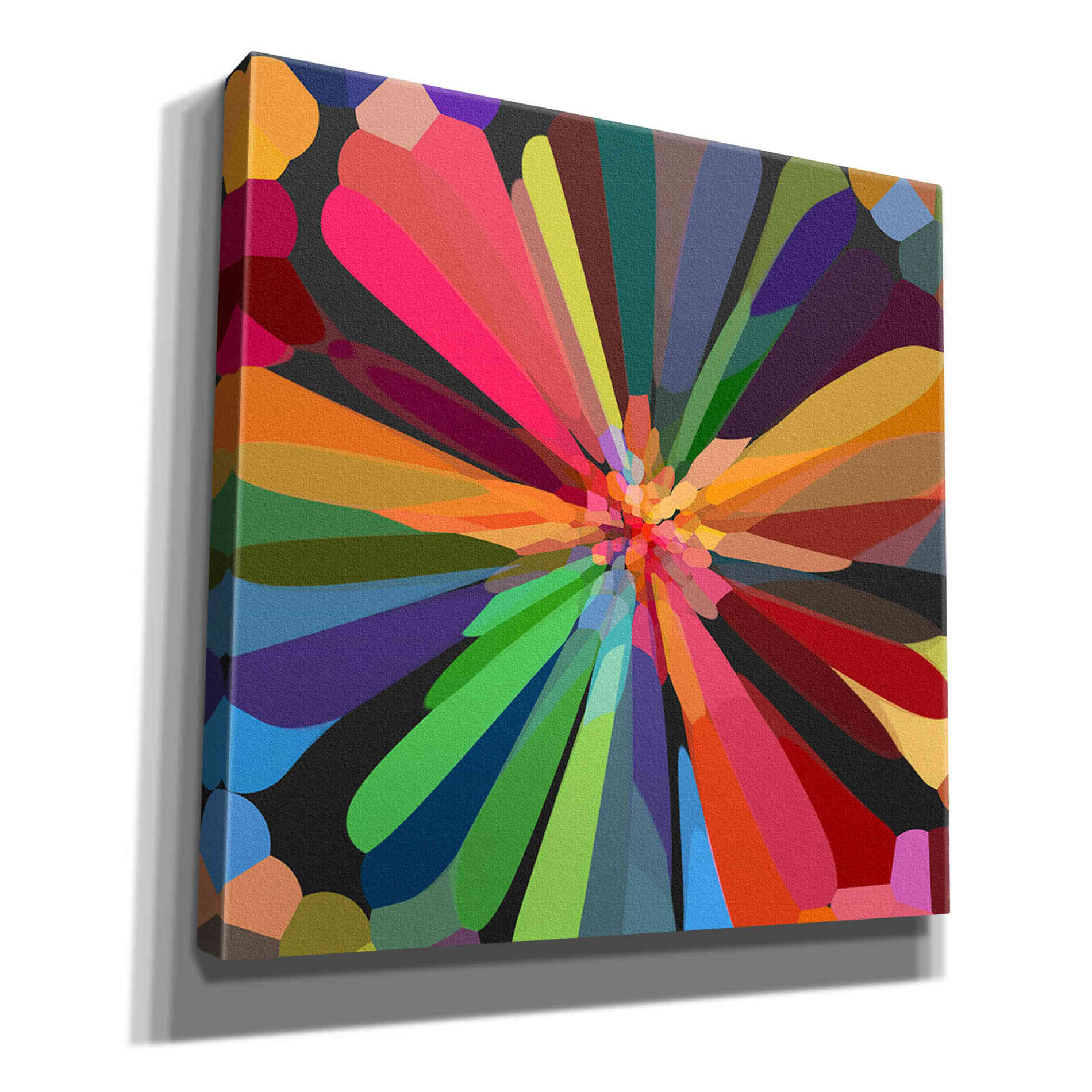 'Flower 12' by Shandra Smith, Canvas Wall Art,12x12x1.1x0,18x18x1.1x0,26x26x1.74x0,37x37x1.74x0
